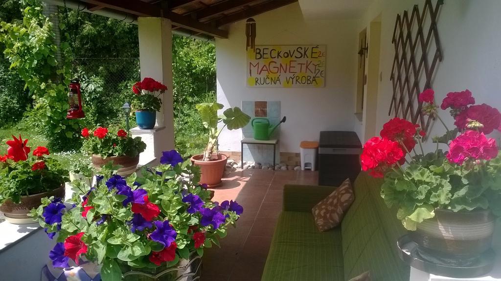 Platanus Bed and Breakfast Beckov Εξωτερικό φωτογραφία